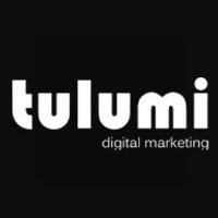 Tulumi Digital Marketing  image 1